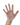 Duracore Polyethylene Gloves – Disposable, Food-Safe, High-Density - 500/box - Aurum Care Co